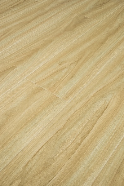 现代简约木地板 现代简约木地板