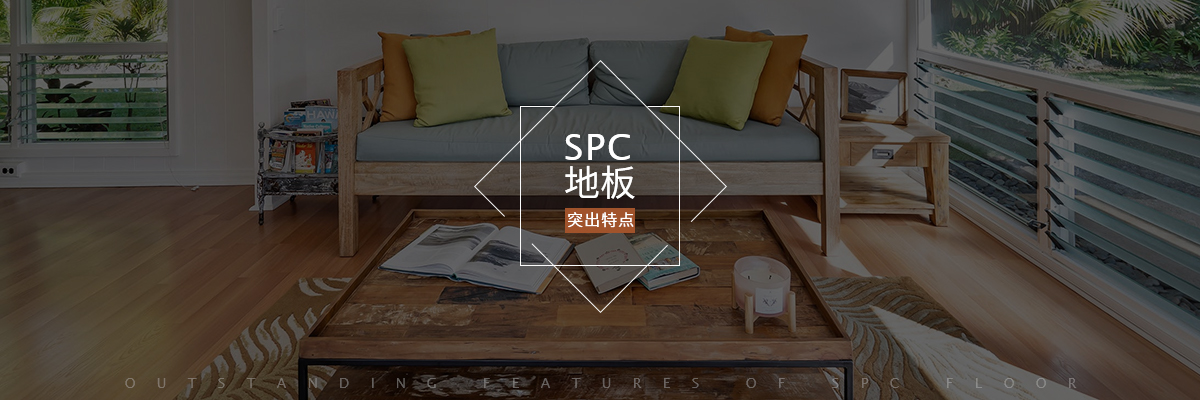 5031584156911722.jpg banner.jpg