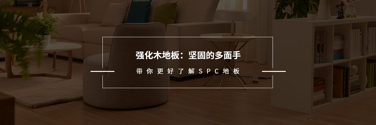 3801612692043640.jpg 2.jpg